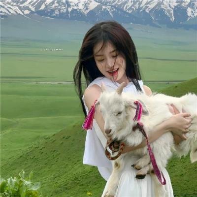 与鲨同游