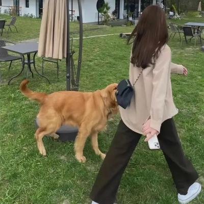 克洛伊